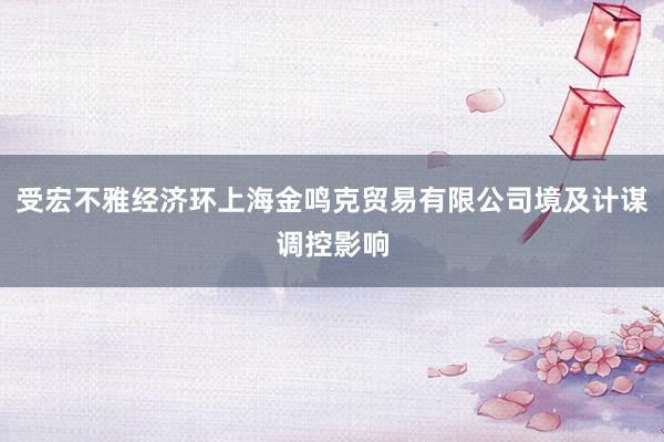 受宏不雅经济环上海金鸣克贸易有限公司境及计谋调控影响